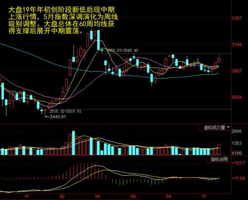 002663最新消息,关于股票代码002663的最新消息与行业洞察