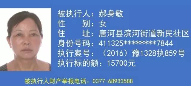 南阳黑坑最新信息,南阳黑坑最新信息解析