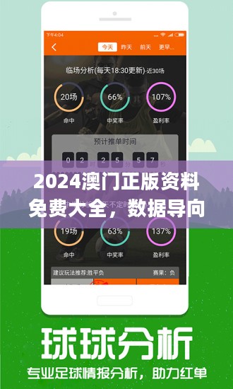 2024澳门精准正版免费大全,关于澳门精准正版免费大全的探讨与警示——警惕违法犯罪问题