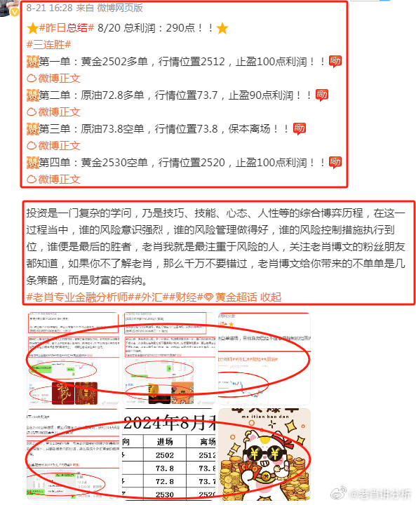 2024澳彩管家婆资料龙蚕,揭秘澳彩管家婆资料龙蚕，探索背后的故事与奥秘