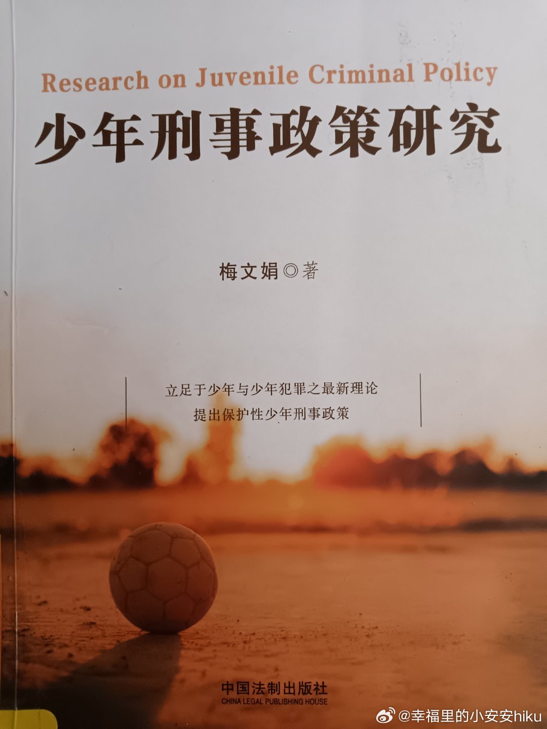 2024新奥门正版资料,警惕犯罪风险，切勿依赖非法资料——关于新奥门正版资料的探讨