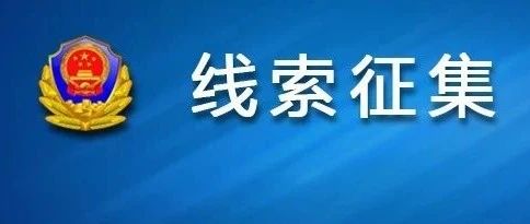 澳门正版资料免费大全新闻——揭示违法犯罪问题,澳门正版资料免费大全新闻——深入揭示违法犯罪问题的严峻性