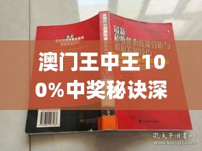 澳门王中王100%期期中一期,澳门王中王，揭秘期期中一期的秘密与魅力