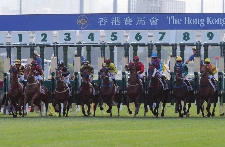 香港最准马会资料免费,香港最准马会资料免费，探索赛马世界的秘密