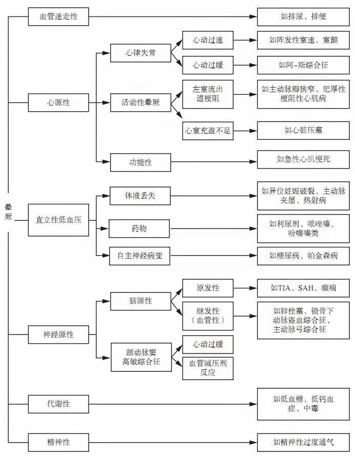 777778888王中王最新,探索数字背后的秘密，揭秘王中王最新与777778888背后的故事