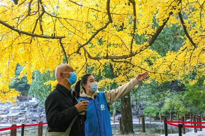 2025澳门天天开好彩大全46期,澳门天天开好彩大全，探索彩票文化背后的故事与期待（第46期）