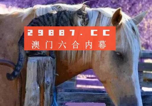 澳门正版大全免费资料121期 05-07-14-18-38-42P：05,澳门正版大全资料解析，第121期及特定号码组合探索（标题）